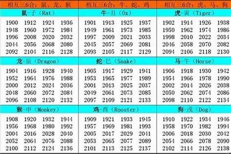 2002年生肖五行|2002 年出生属什么生肖